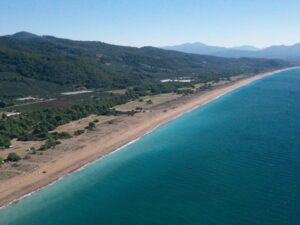 Elaia Beach